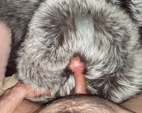 Big Lipped Bimbo Fox Fur Hood Face Fuck - Teaser