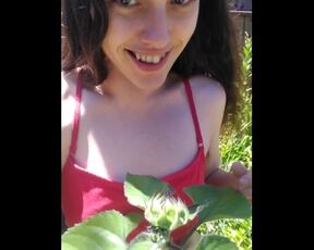 Pink Moon Teases Nipple with a Sunflower Bud Outdoors Garden outside